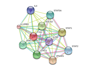 tyk2 protein